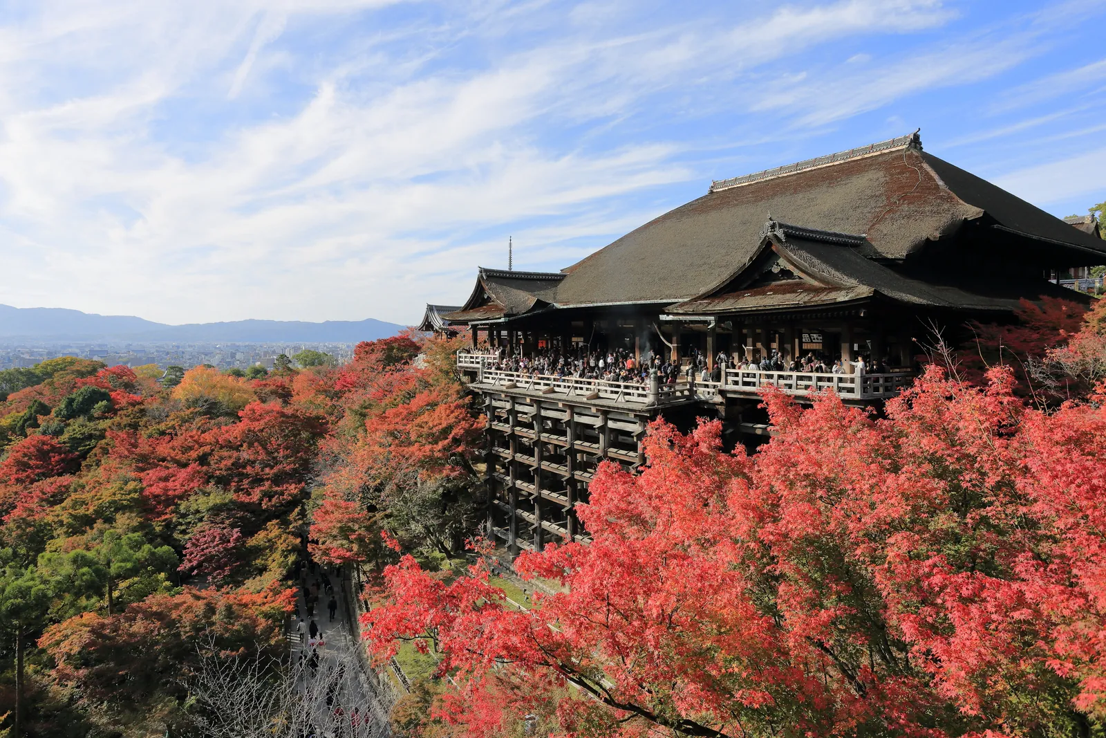 The main hall of Kiyomizu-dera on its wooden veranda above autumn maples, with hills beyond; a general photograph of the temple, not of the tea house