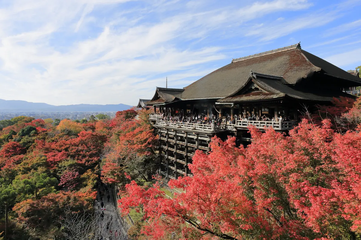 Kırmızı sonbahar akçaağaçlarının üzerindeki Kiyomizu-dera'nın ana salonu ve uzakta tepeler